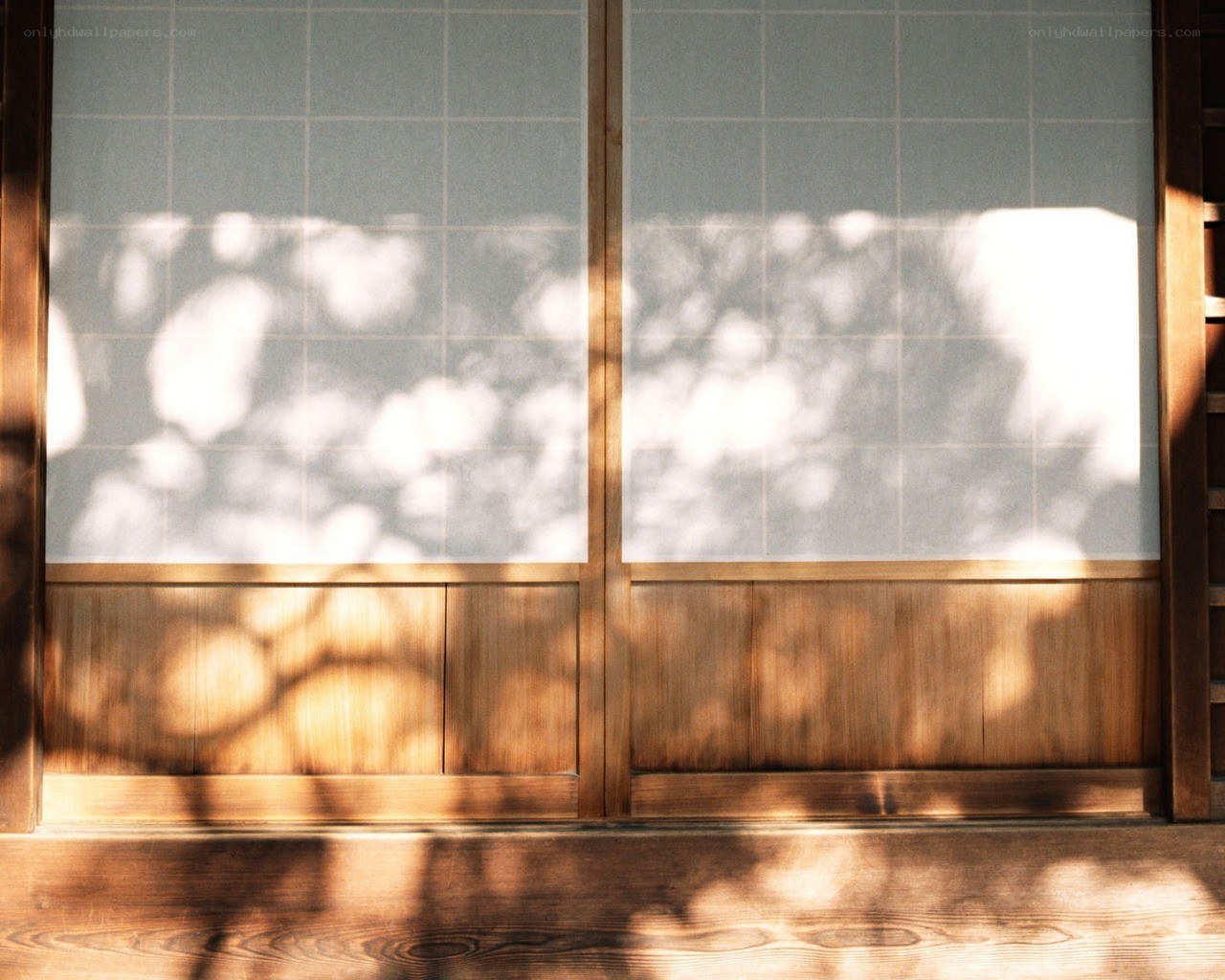 Sunlight through wooden window