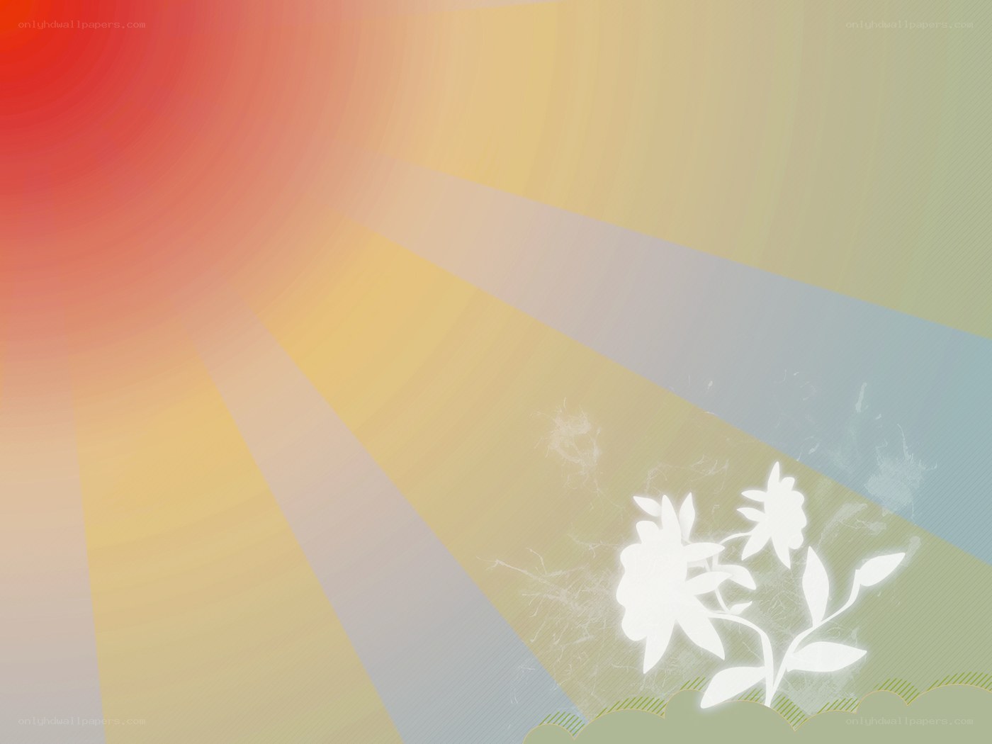 Sunlight with floral silhouette
