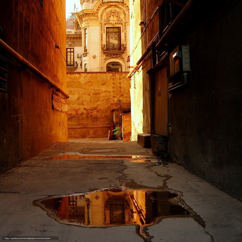 Sunlit alley with puddle reflection
