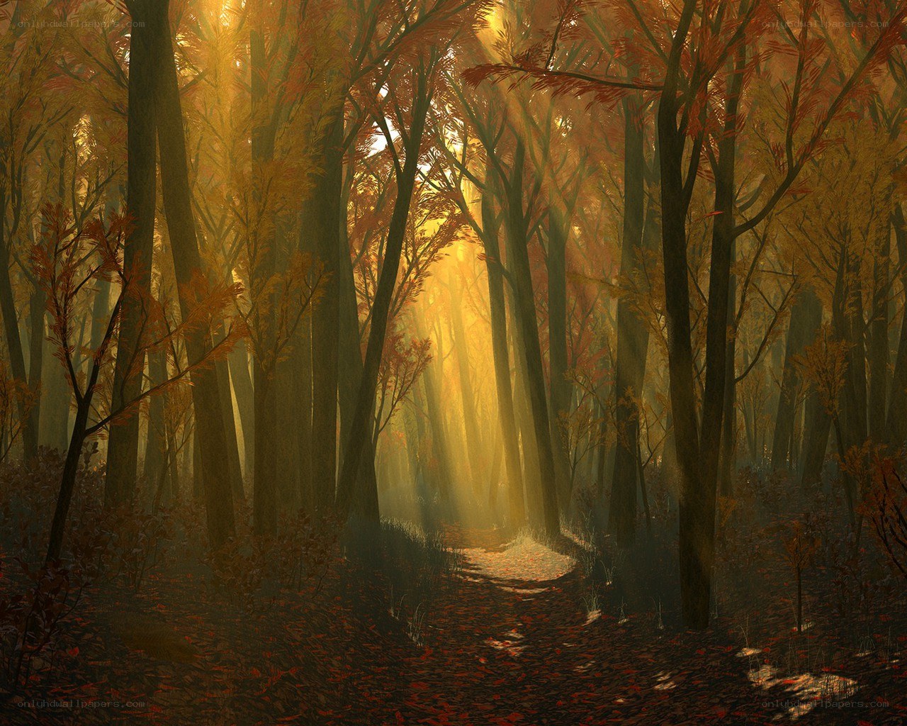 Sunlit autumn forest path