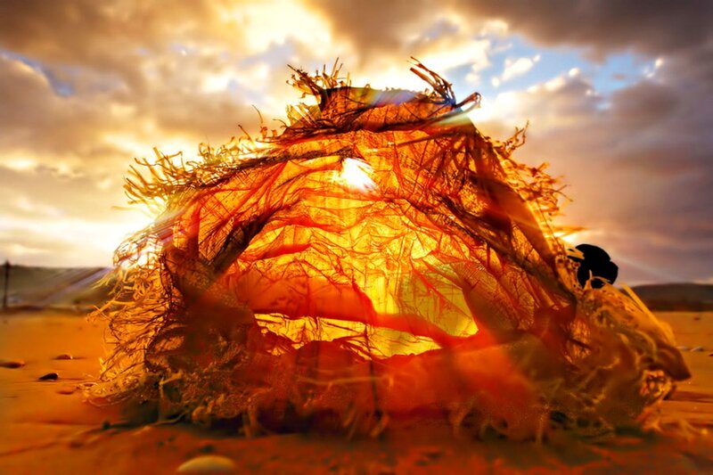 Sunlit beach sculpture