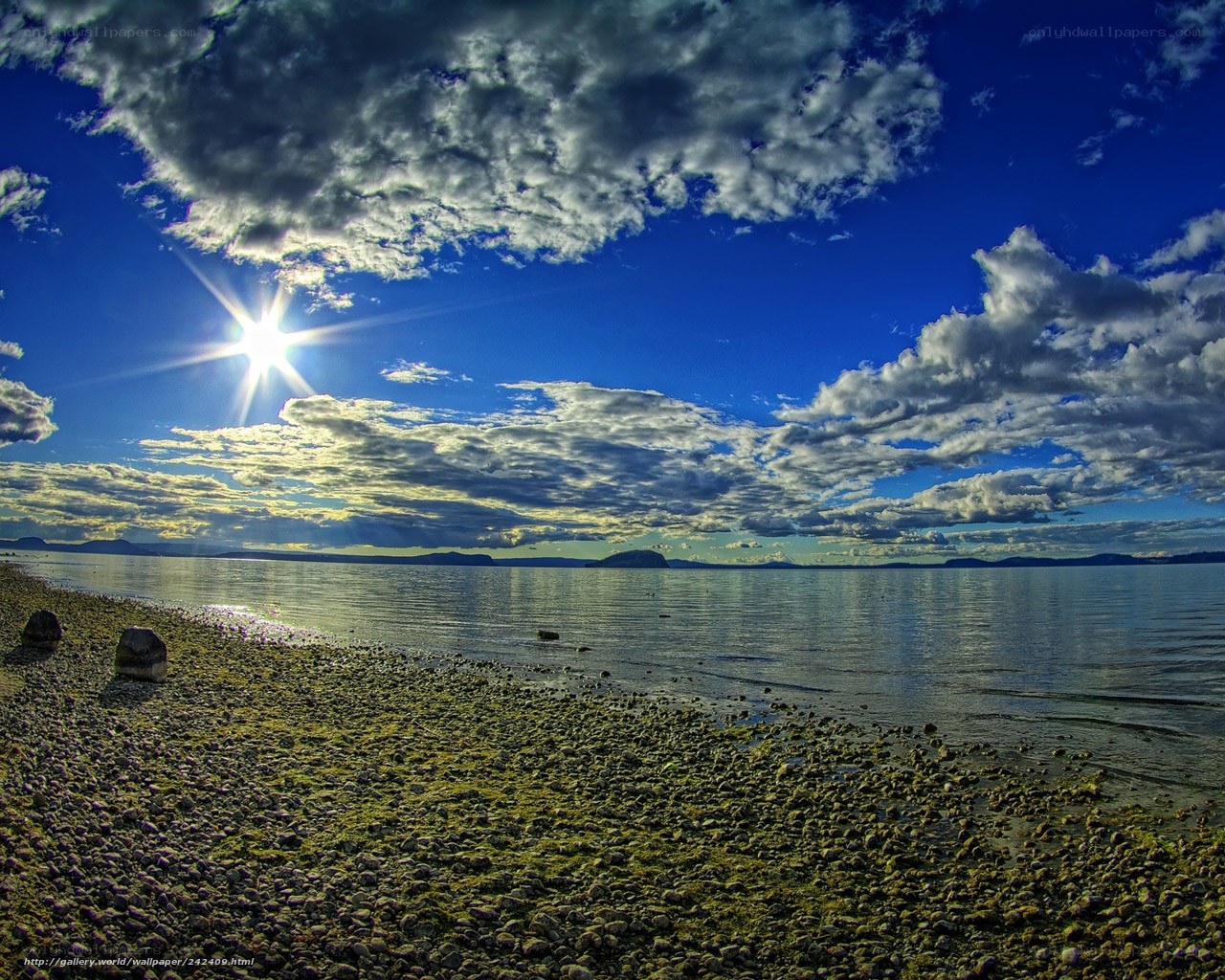 Sunlit beach with rocky shore