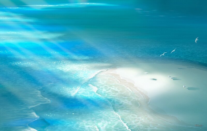 Sunlit beach with seagulls