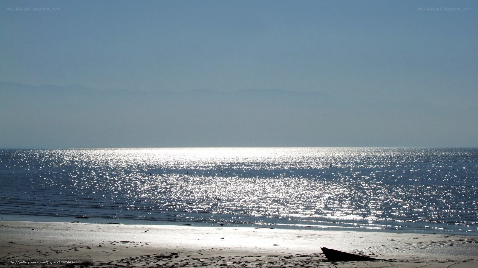 Sunlit beach with sparkling water
