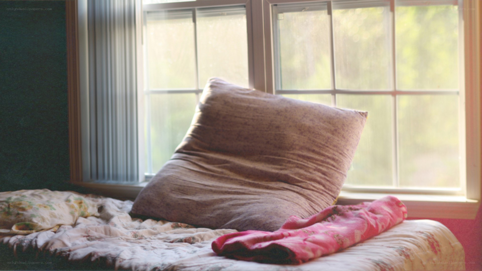 sunlit bed by the window
