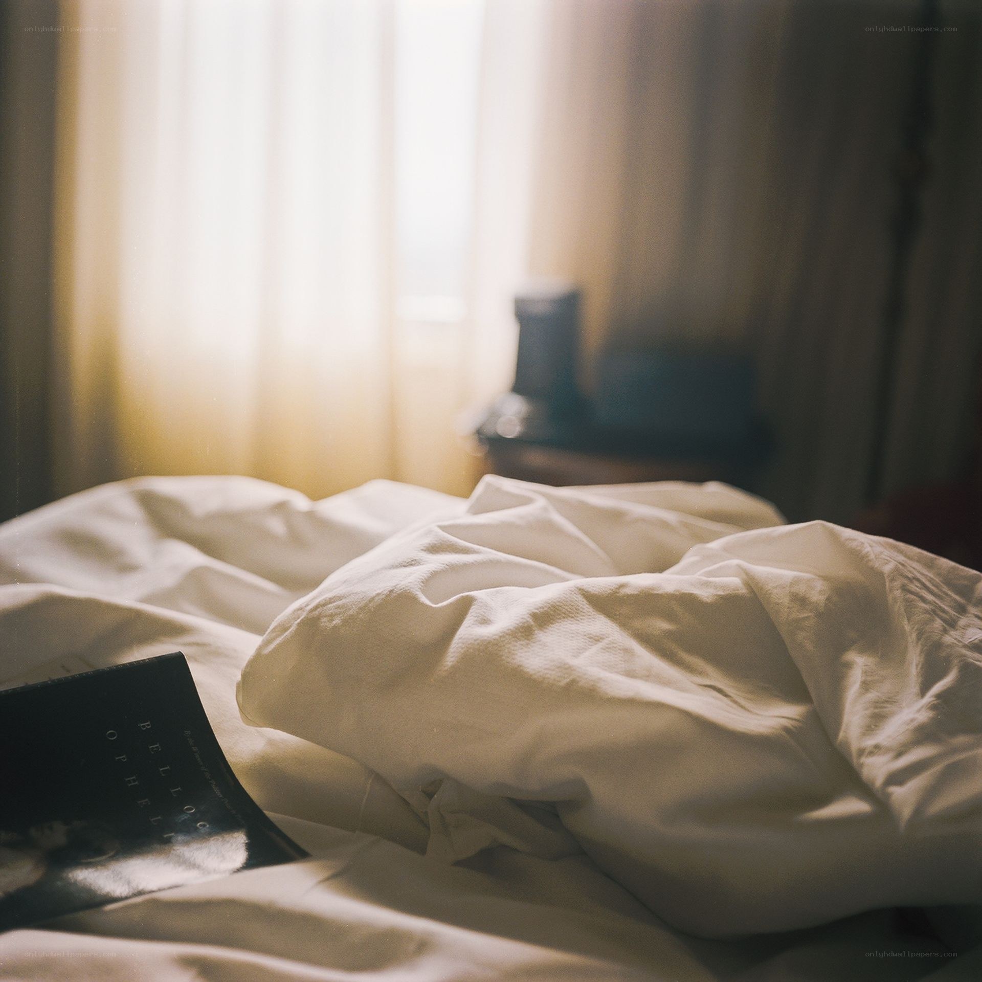 Sunlit bed with book