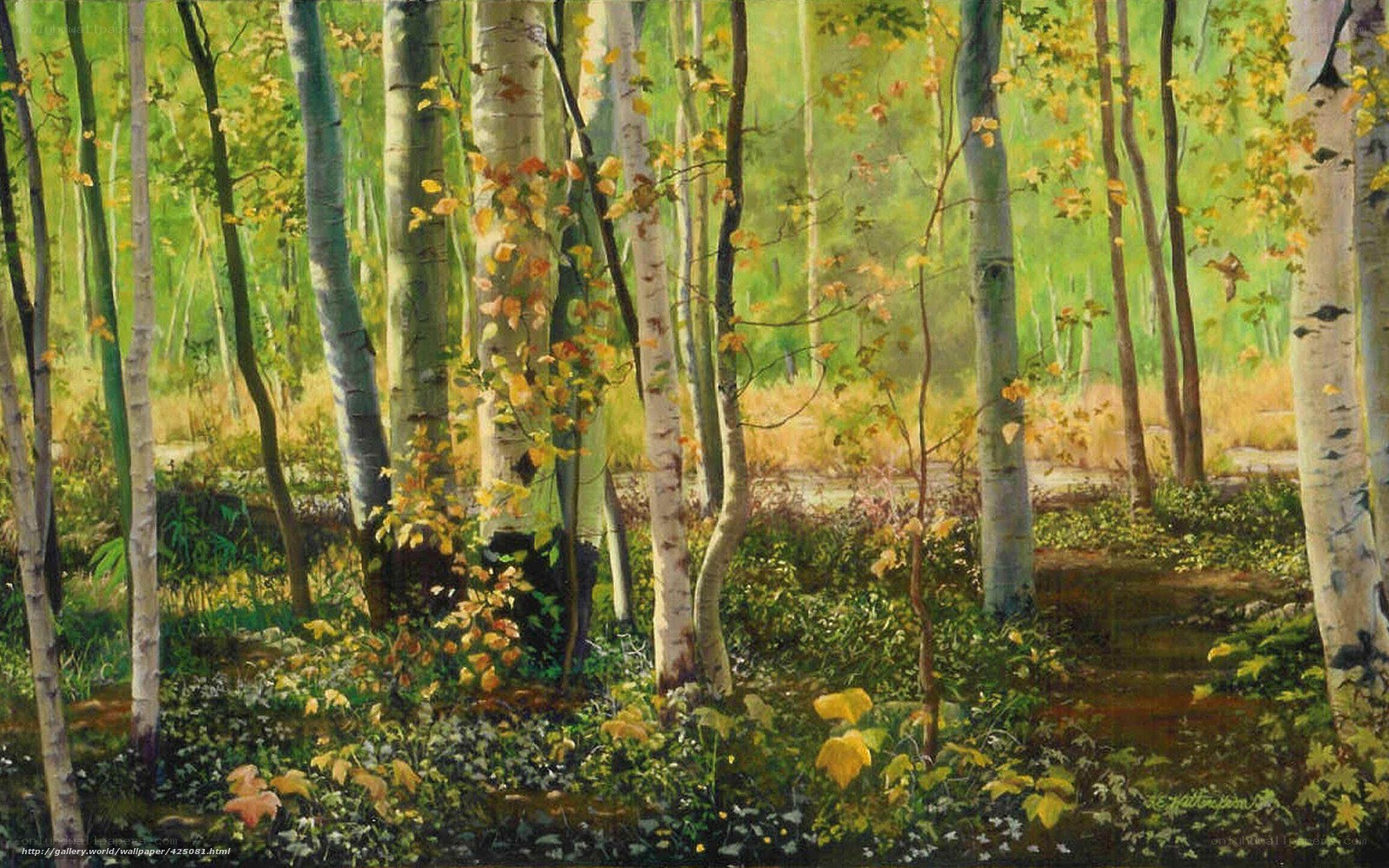 Sunlit birch forest