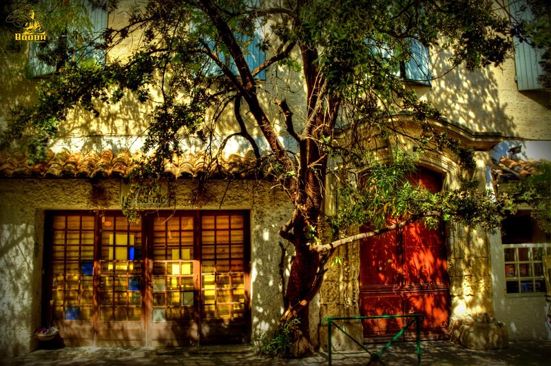 Sunlit building with tree