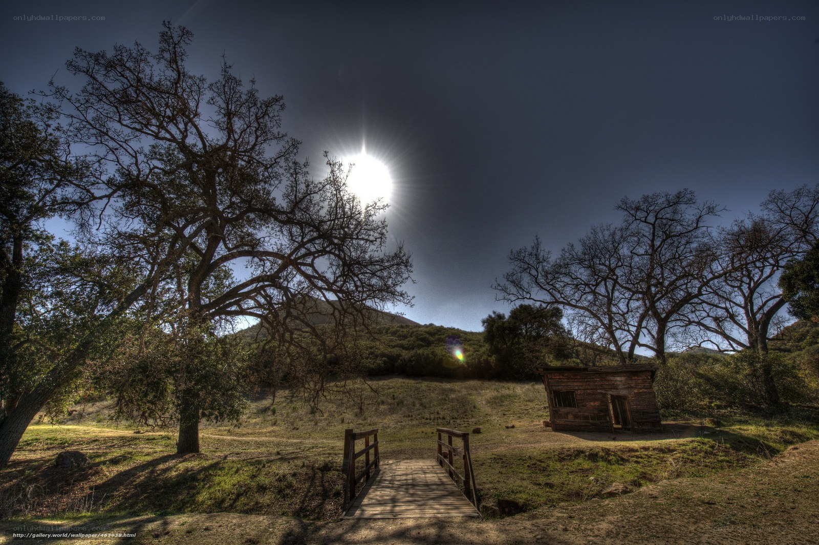 Sunlit cabin in a quiet valley