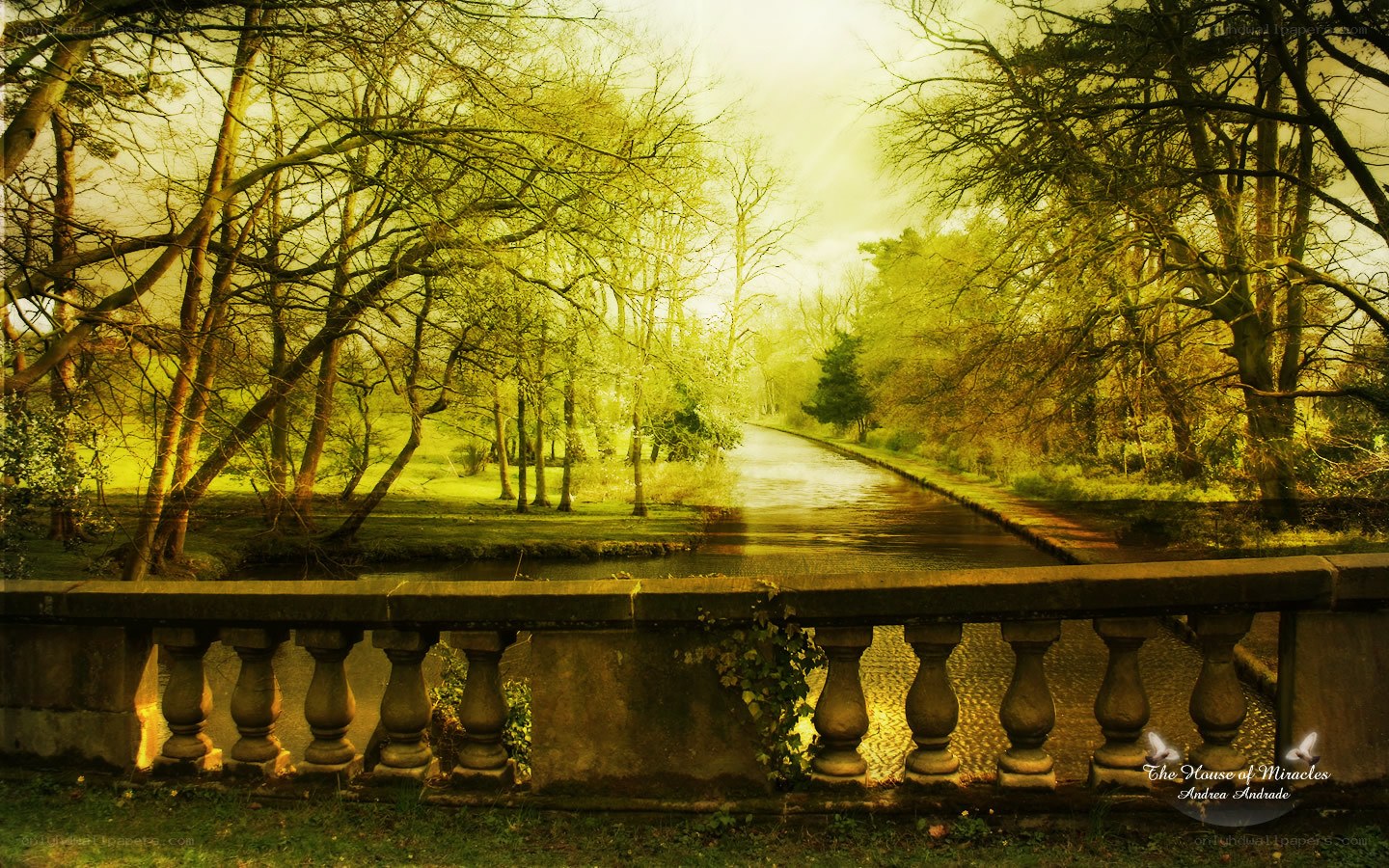 Sunlit canal in a park