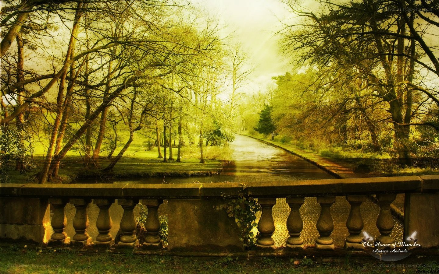 Sunlit canal in a park