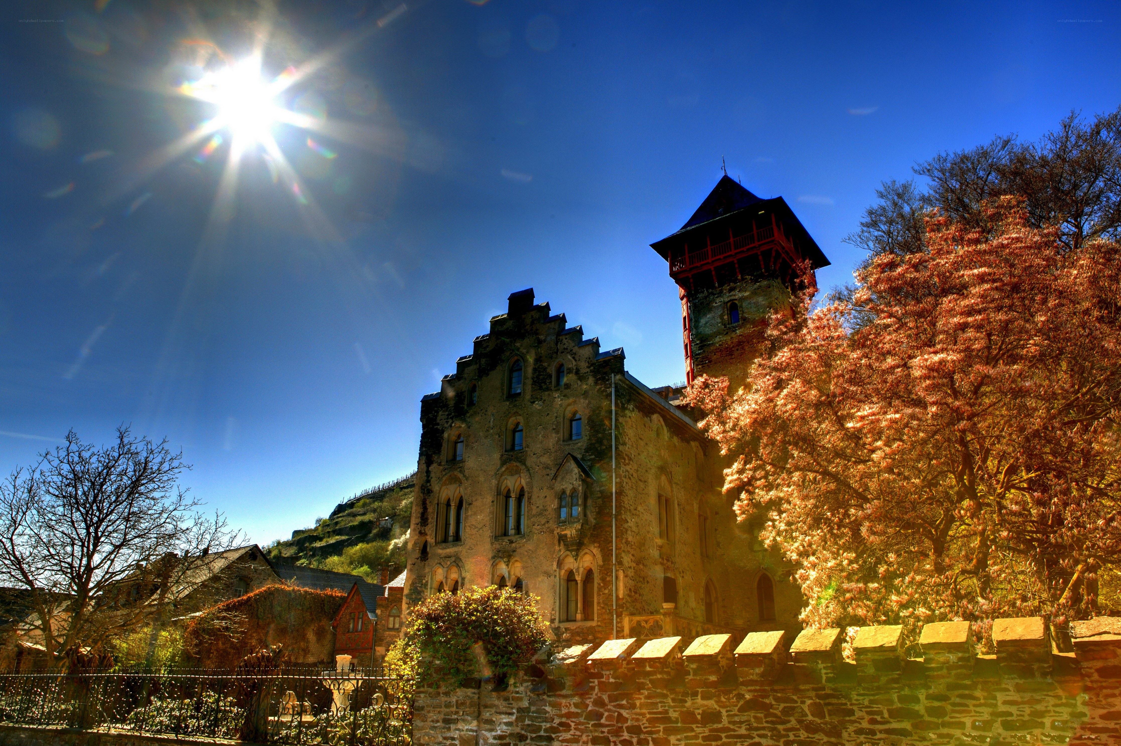 Sunlit castle with autumn trees