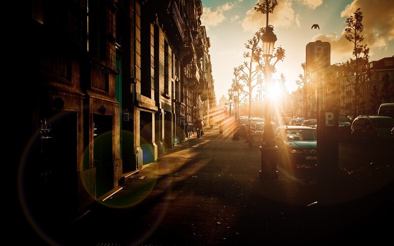 Sunlit City Street