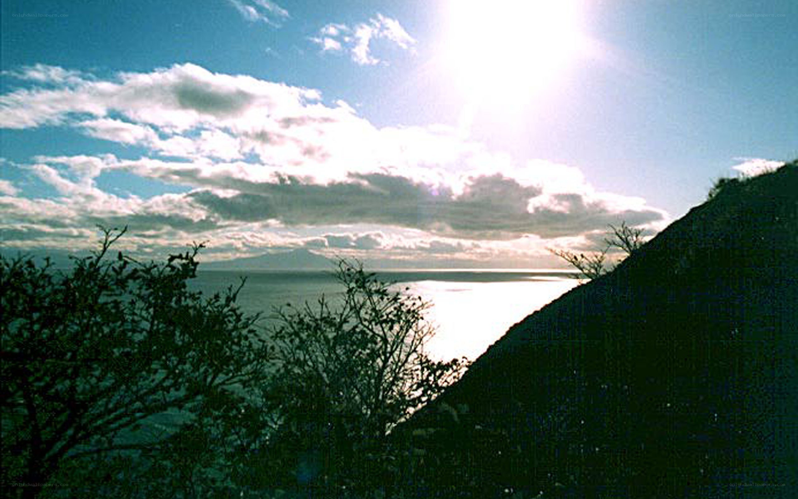 Sunlit coastal landscape