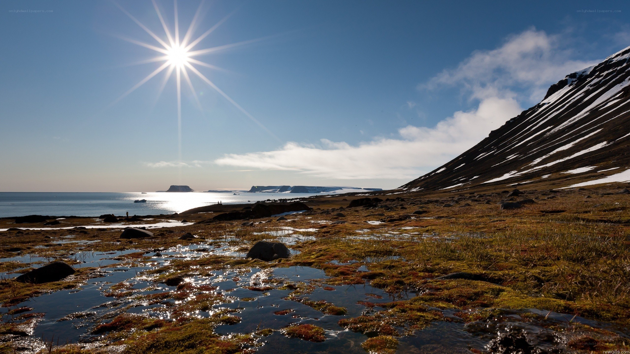 Sunlit coastal landscape