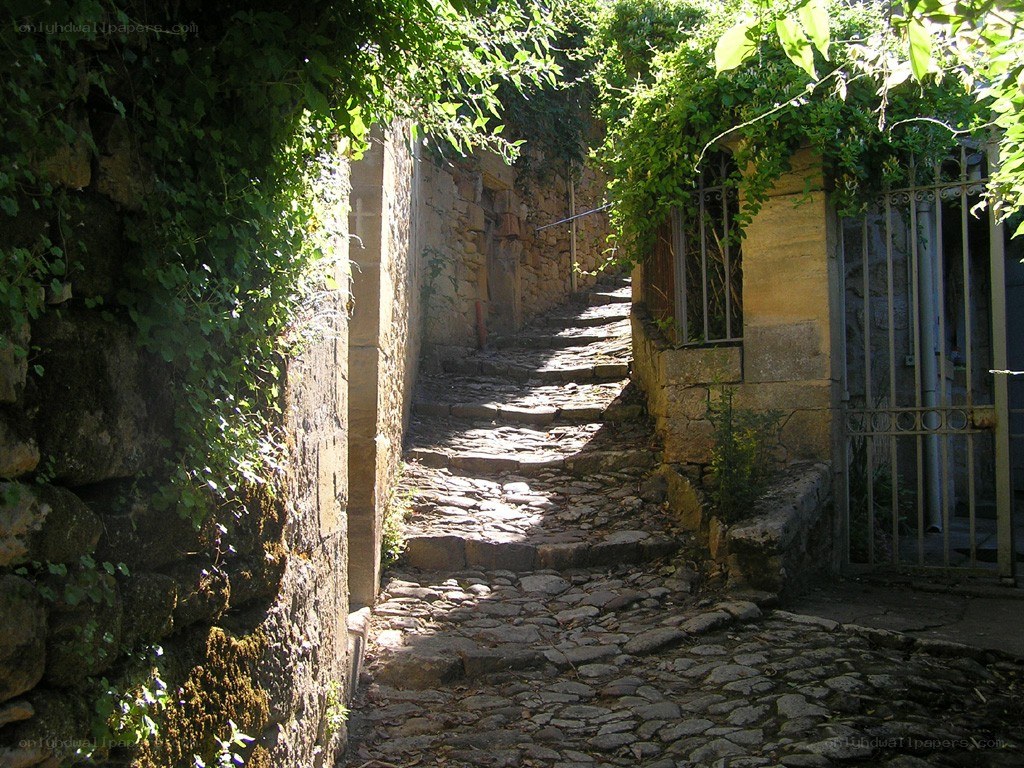 Sunlit cobblestone alley
