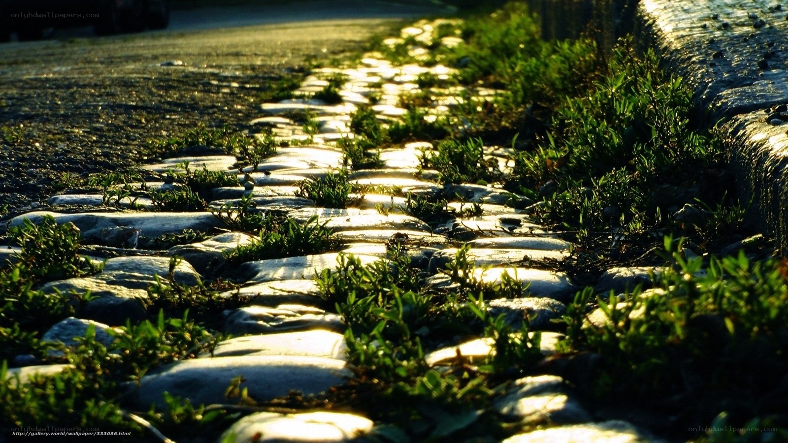 Sunlit cobblestone path