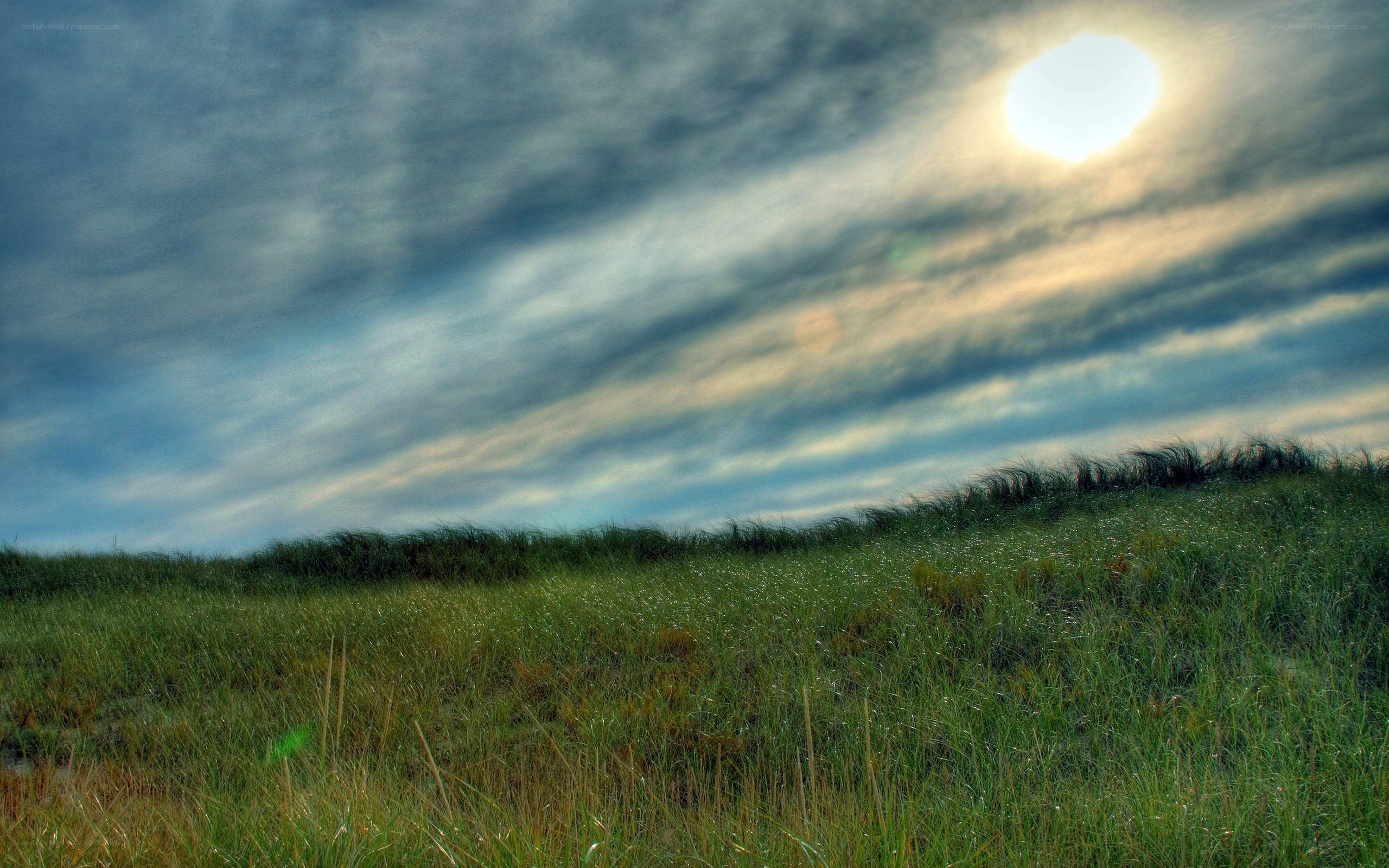 Sunlit dunes with grassy field