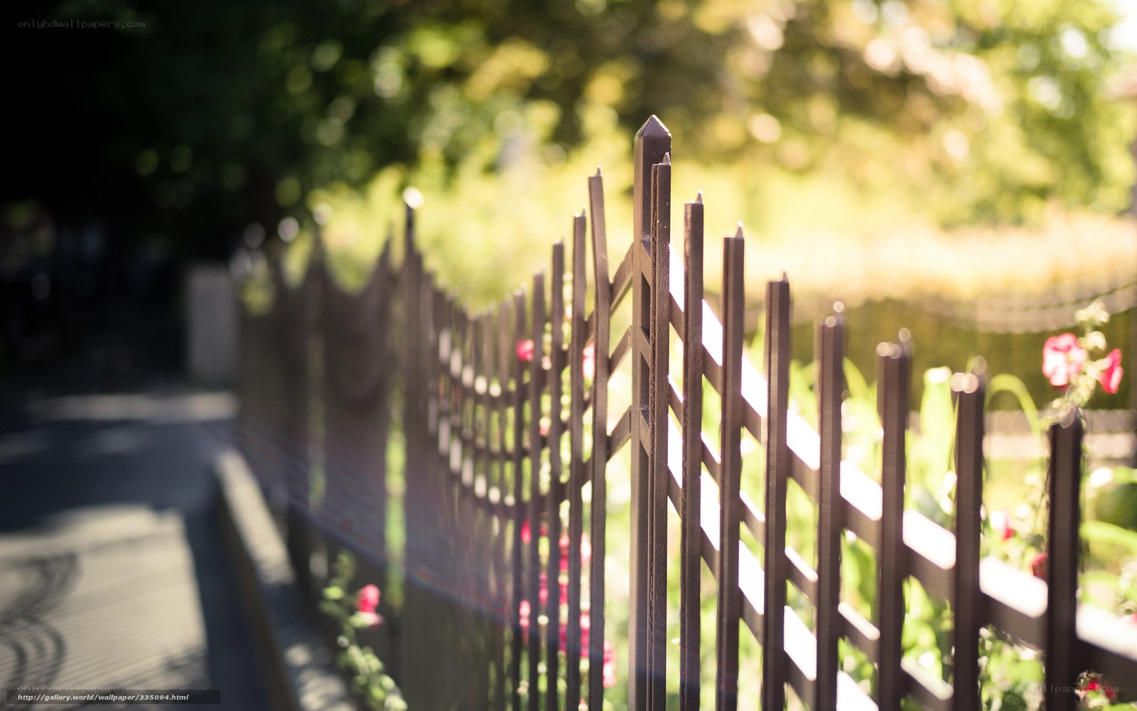 Sunlit fence in garden