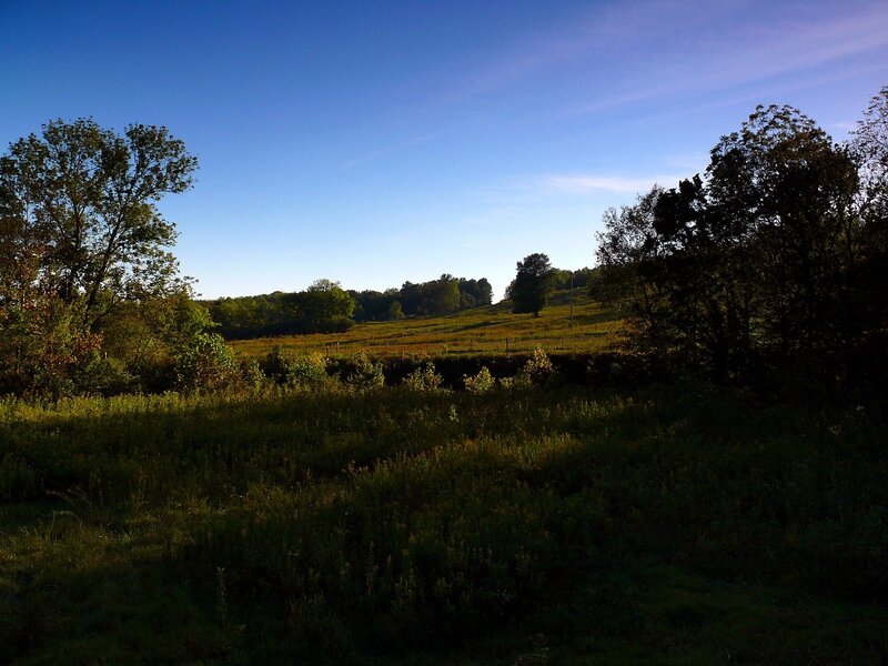 Sunlit field at dawn