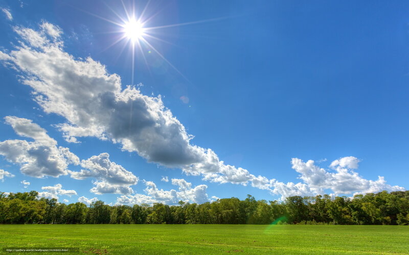 Sunlit field with clouds