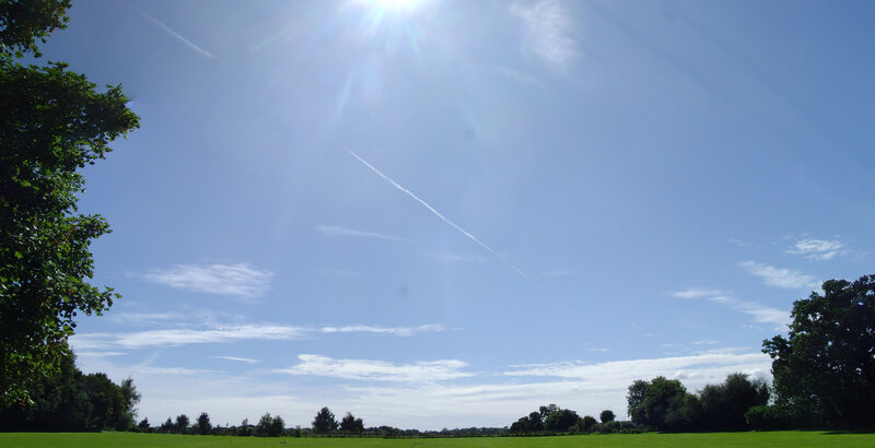 Sunlit field with contrails