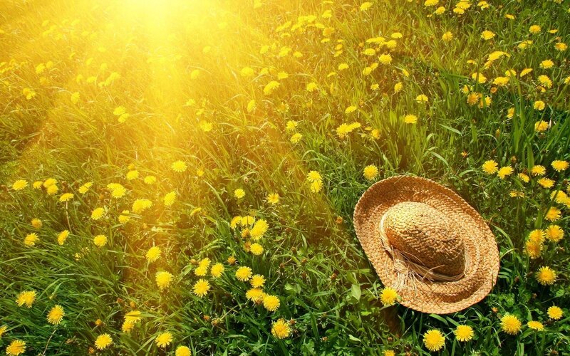 Sunlit field with straw hat