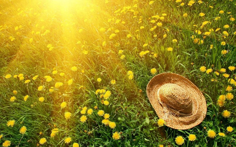 Sunlit field with straw hat