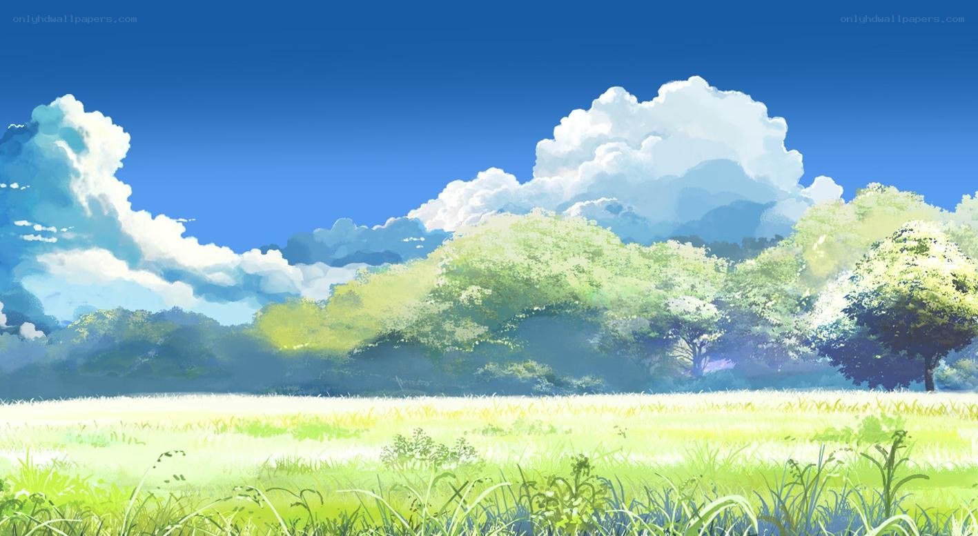 Sunlit field with trees and clouds