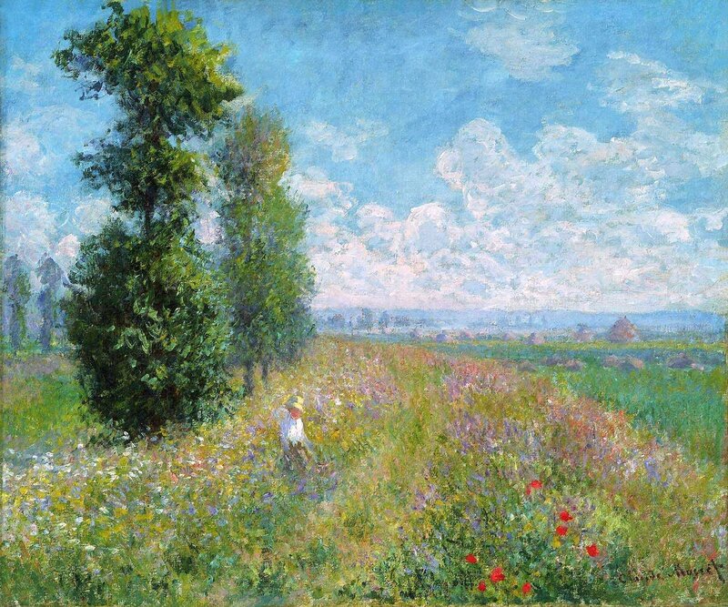 Sunlit Field with Wildflowers