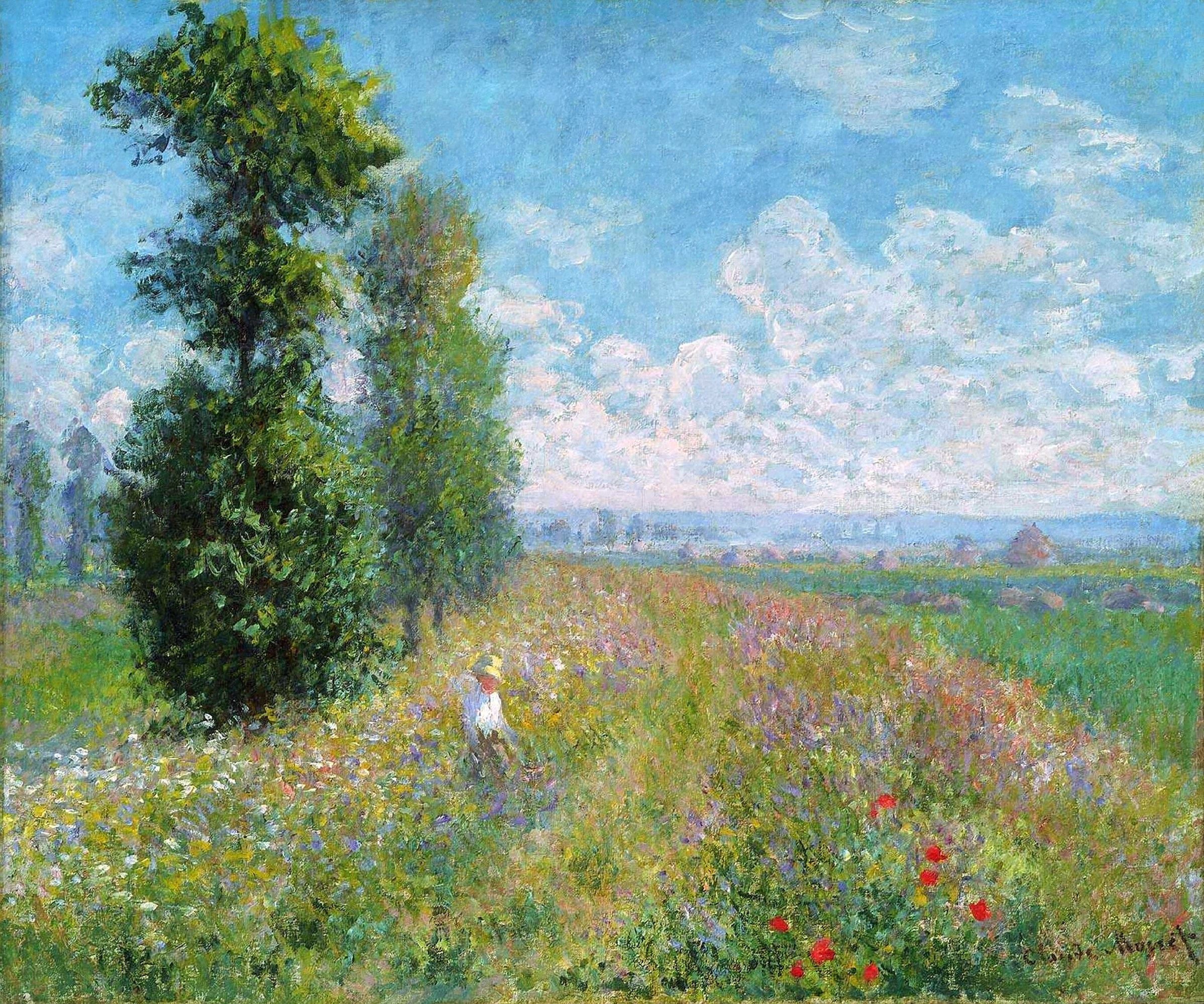 Sunlit Field with Wildflowers