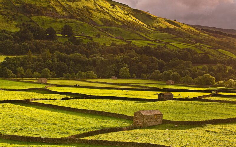 Sunlit fields of the Yorkshire Dales