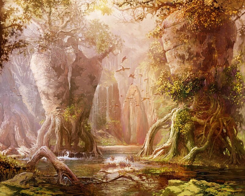 Sunlit forest canyon