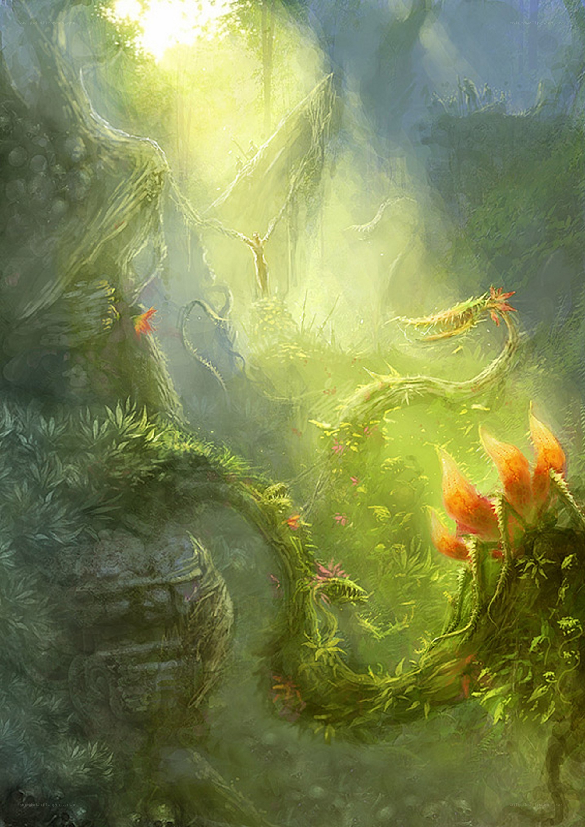 Sunlit forest clearing