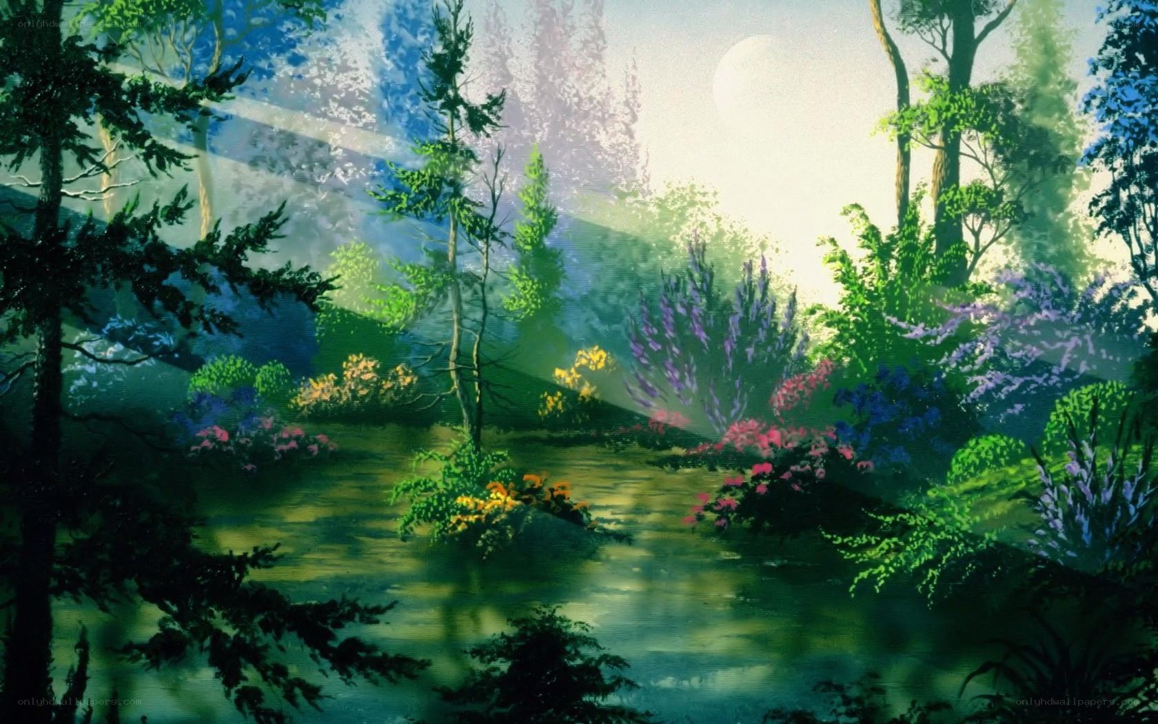 Sunlit forest clearing