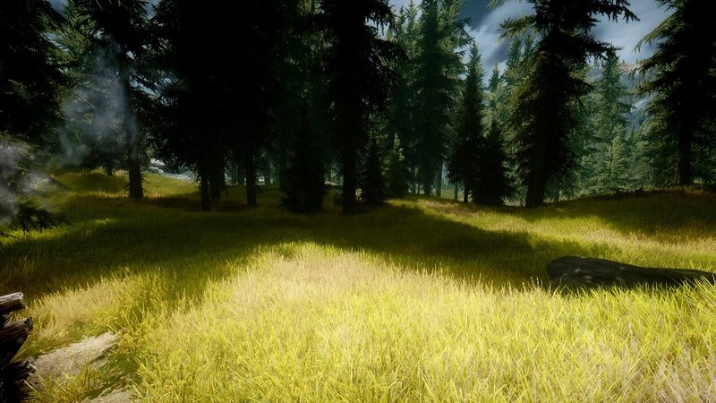 Sunlit Forest Clearing — Green, Serene, Afternoon, 3d Render