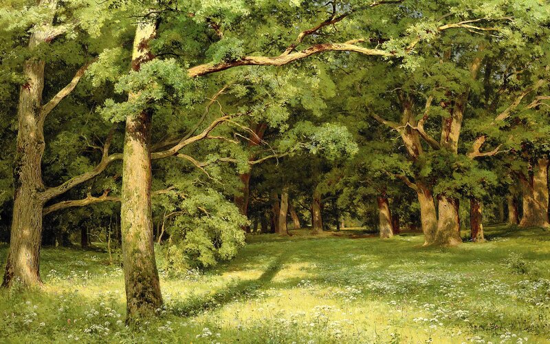 Sunlit Forest Clearing — Green, Serene, Afternoon, Painting