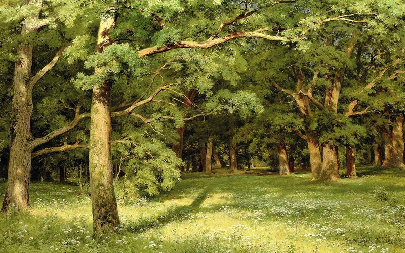 Sunlit Forest Clearing — Green, Serene, Afternoon, Painting, Trees