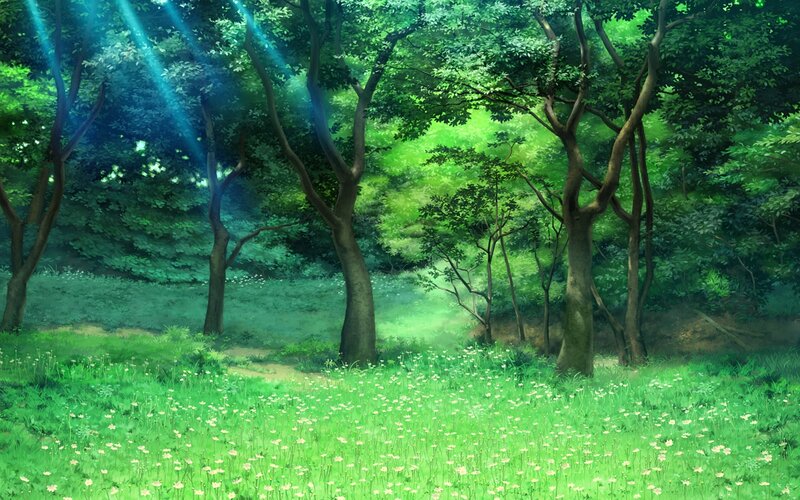 Sunlit Forest Clearing — Green, Serene, Morning, Anime