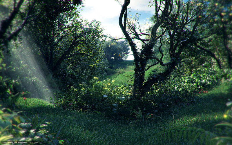 Sunlit Forest Clearing — Green, Serene, Morning, Digital Art, Trees, Grass, Light Rays