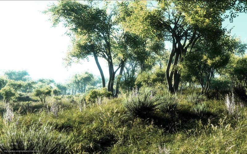 Sunlit Forest Clearing — Green, Serene, Morning, Digital Art, Trees, Grass, Light