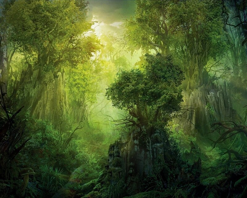 Sunlit Forest Clearing — Green, Serene, Morning, Digital Art, Trees, Moss, Light Rays, Rock