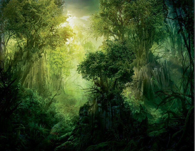 Sunlit Forest Clearing — Green, Serene, Morning