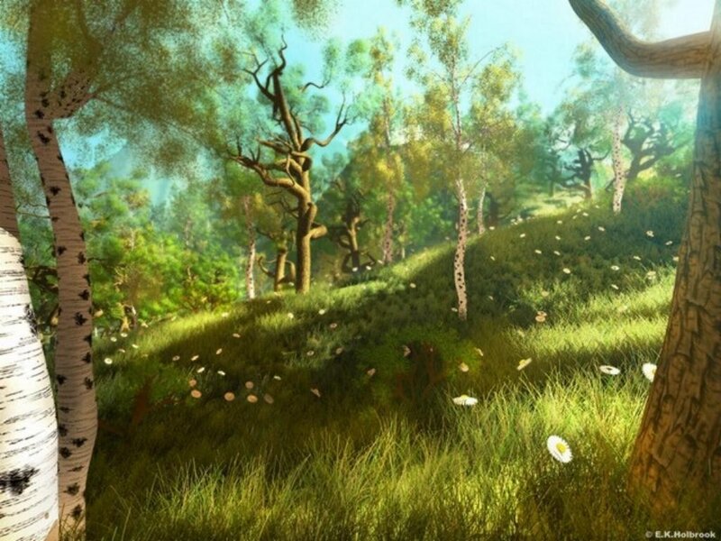 Sunlit forest glade