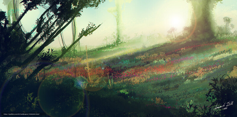 Sunlit forest meadow