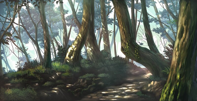 Sunlit forest path