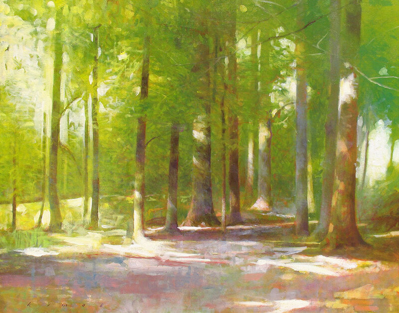 Sunlit forest path