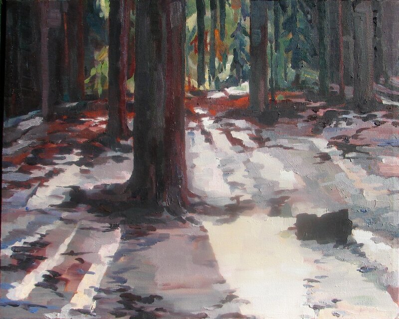 Sunlit forest path