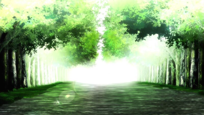 sunlit forest path