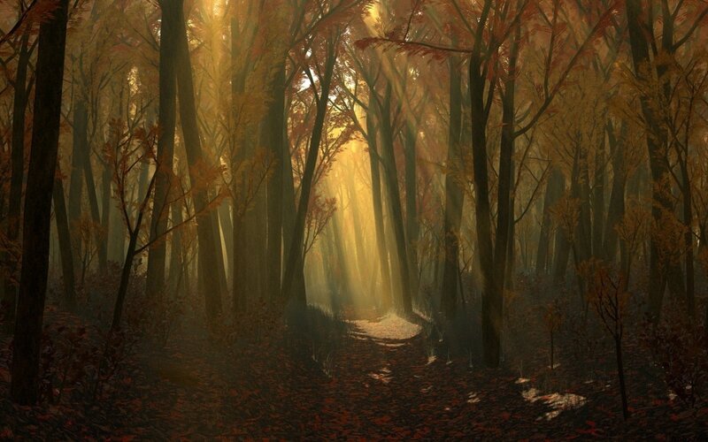 Sunlit Forest Path — Brown, Serene, Autumn, Digital Art